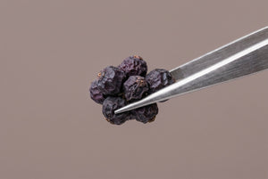 Mönchspfeffer-Extrakt