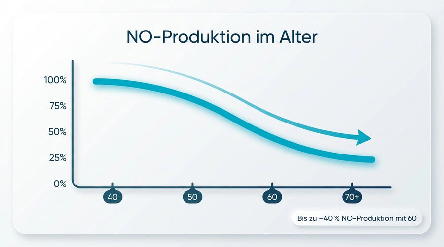 Gefäßfunktion & abnehmende NO-Produktion