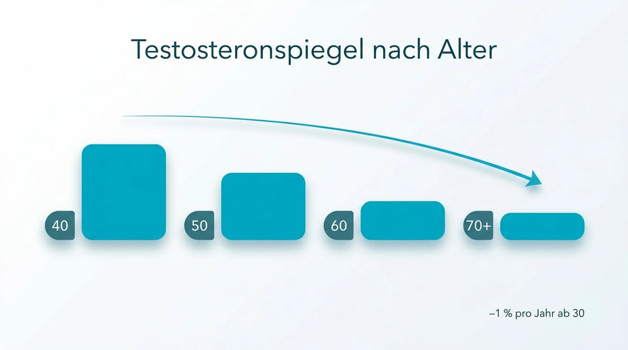 Sinkender Testosteronspiegel