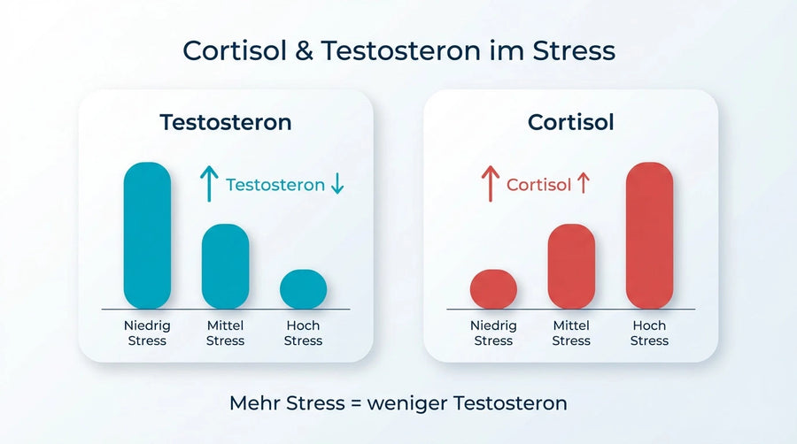 Chronischer Stress & Cortisol